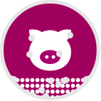 CCM-Mais Icon