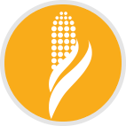 Körnermais Icon